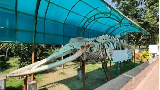 Marine Aquarium and Research Centre (MARC)